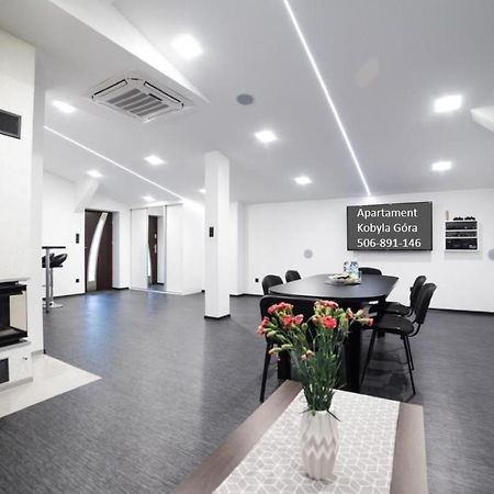 Apartament Iwona Kobyla Góra エクステリア 写真