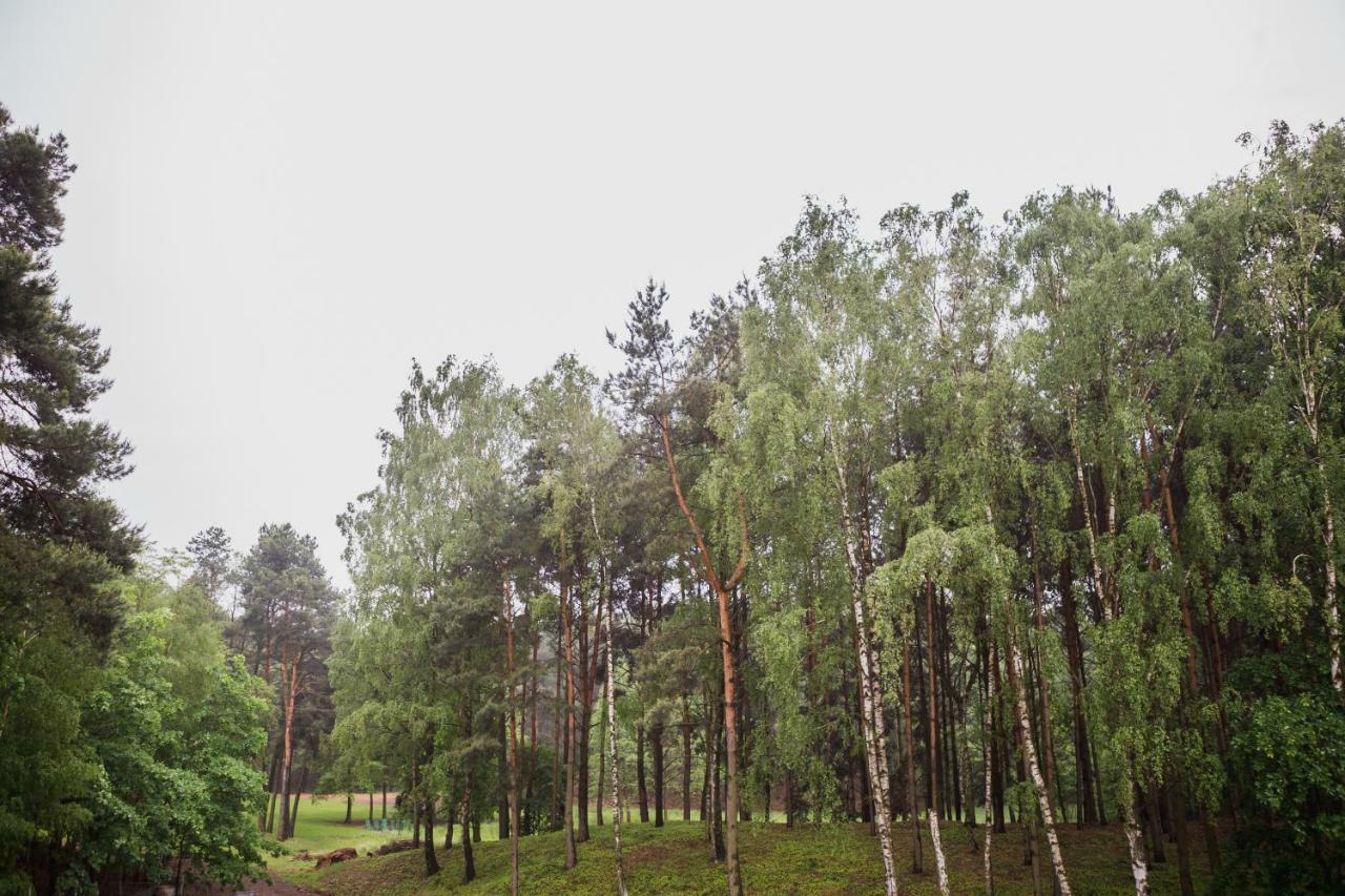 Apartament Iwona Kobyla Góra エクステリア 写真